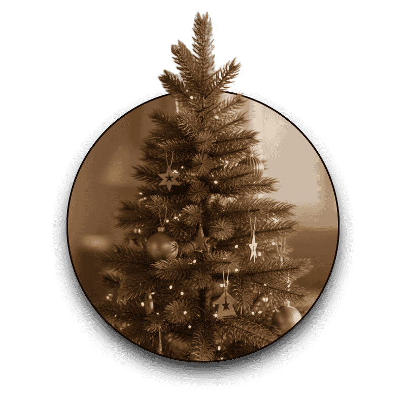 Aptelior Christmas Edition